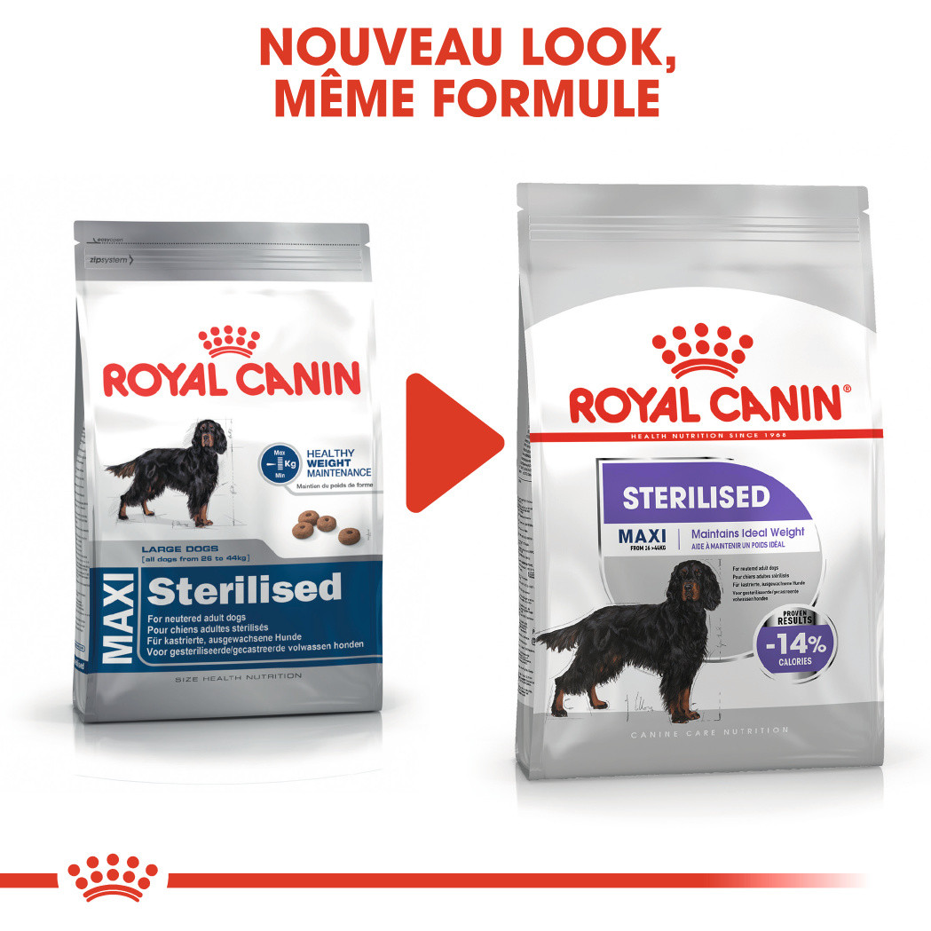 Royal Canin Maxi Sterilised pour chien