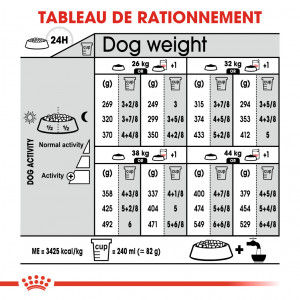 Royal Canin Maxi Sterilised pour chien