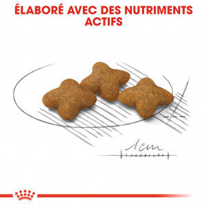 Royal Canin X-Small Sterilised hondenvoer