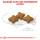 Royal Canin X-Small Sterilised hondenvoer