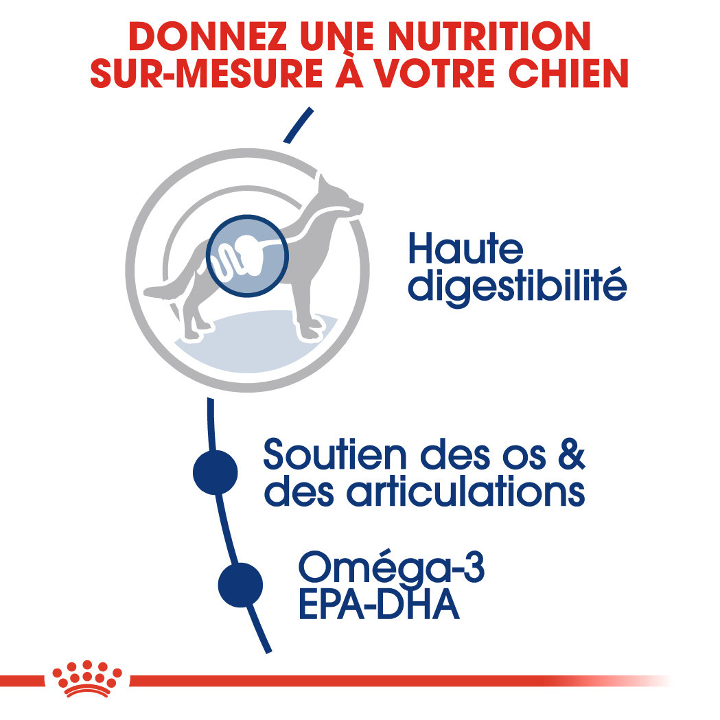 Royal Canin Maxi adult Hondenvoer
