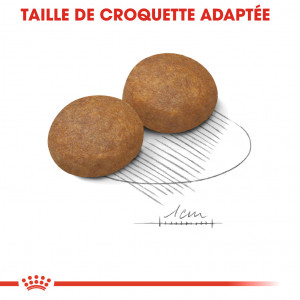 Royal Canin Maxi Adult 5+ Hondenvoer