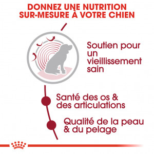 Royal Canin Medium Ageing 10+ pour chien