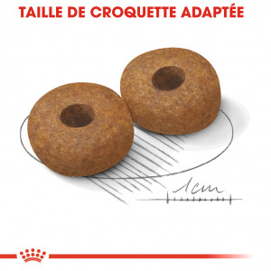 Royal Canin Medium Ageing 10+ pour chien