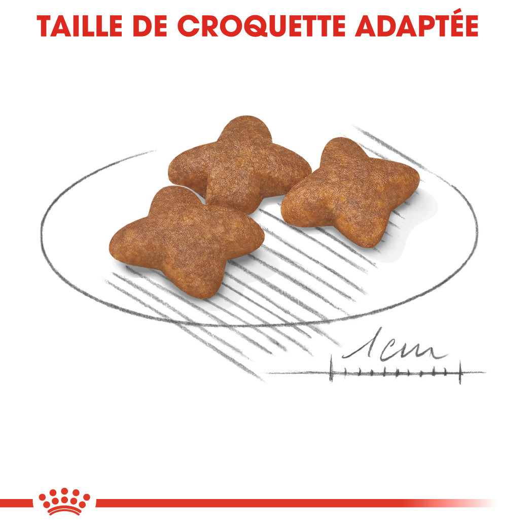 Royal Canin Mini Adult pour chien