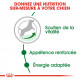Royal Canin Mini Adult 8+ pour chien