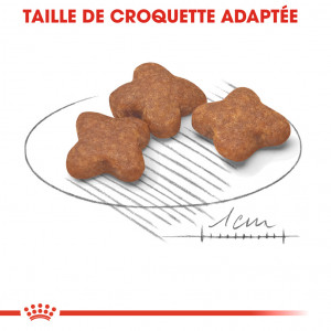 Royal Canin Mini Adult 8+ pour chien
