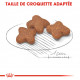 Royal Canin Mini Adult 8+ pour chien