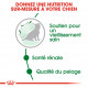 Royal Canin Mini Ageing 12+ pour chien