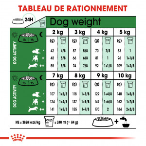 Royal Canin Mini Ageing 12+ pour chien