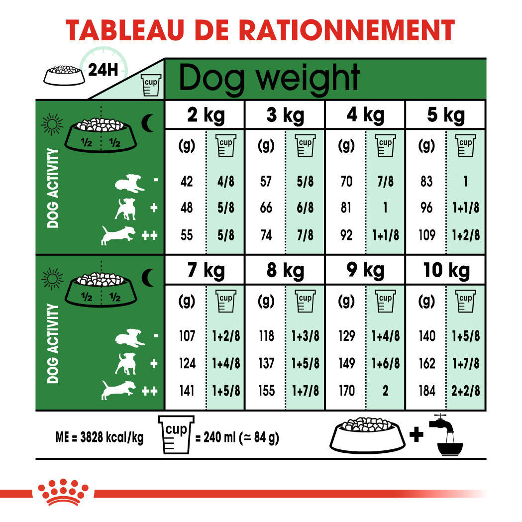 Royal Canin Mini Ageing 12+ pour chien