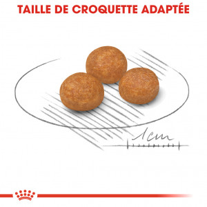 Royal Canin Mini X-Small Adult voor de hond