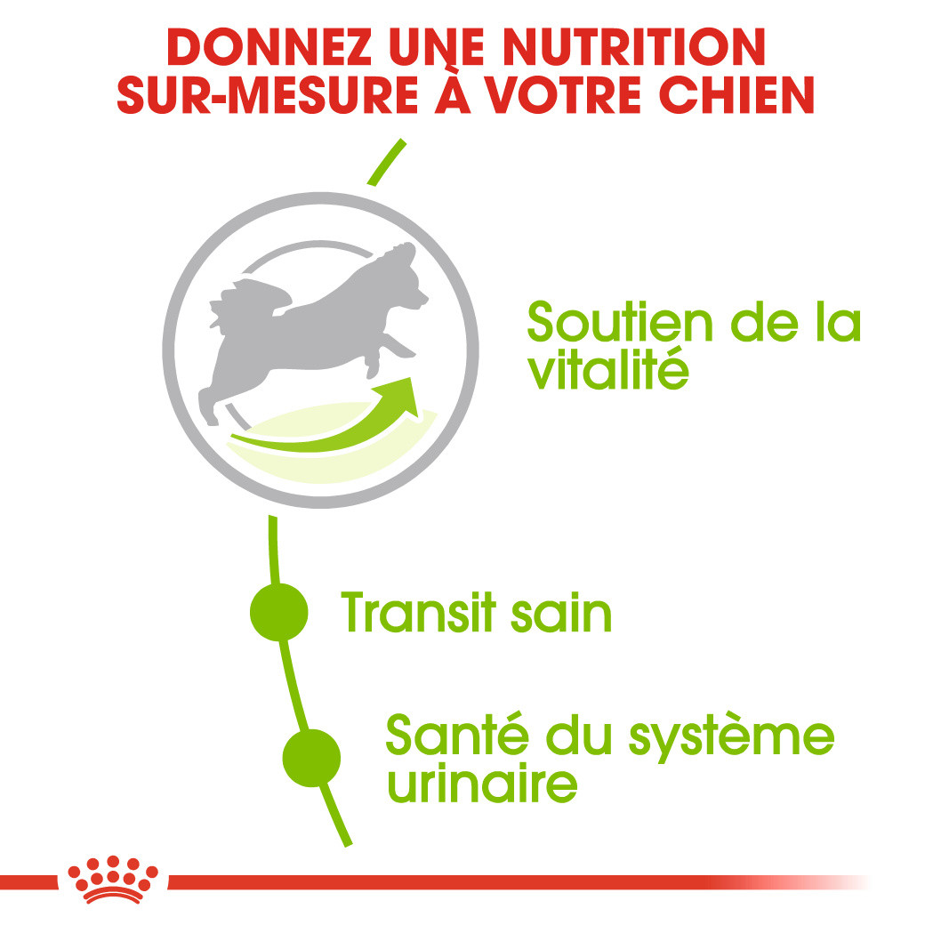 Royal Canin X-Small Adult +8 pour chien