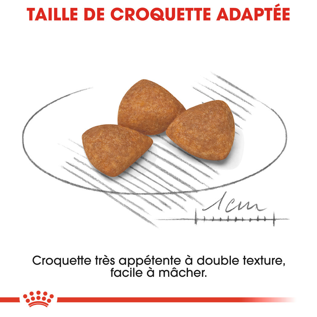 Royal Canin X-Small Ageing 12+ hondenvoer