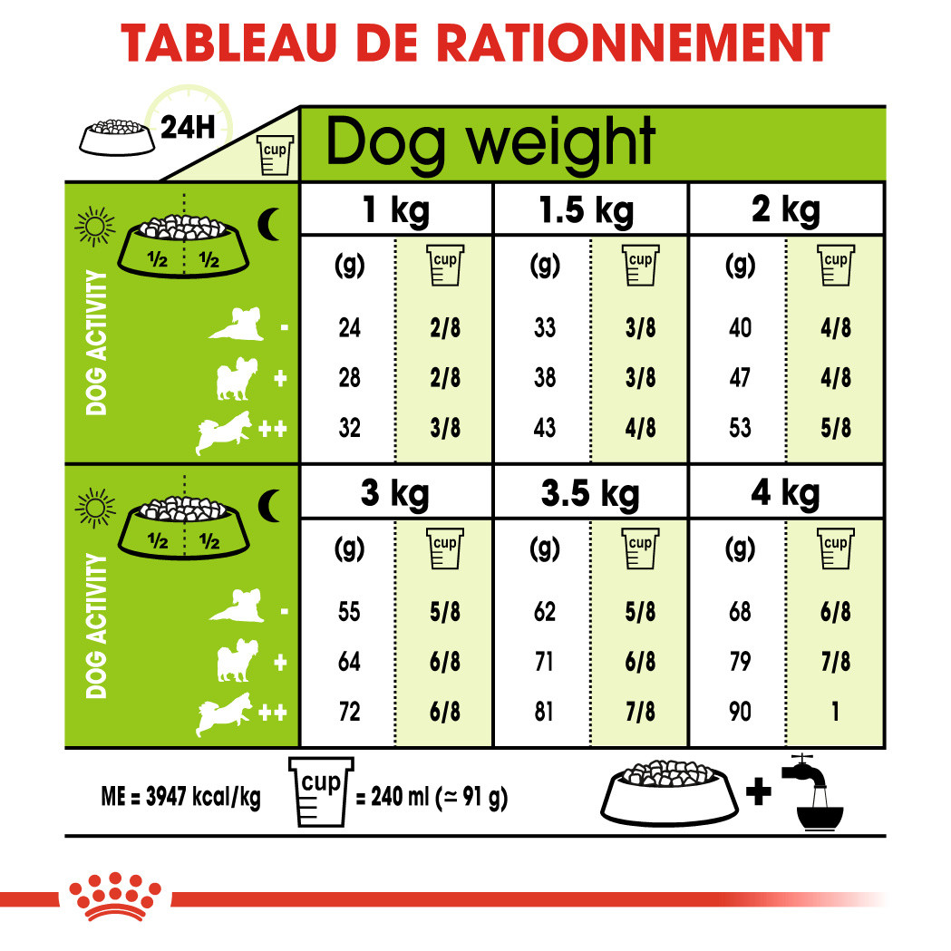 Royal Canin X-Small Ageing 12+ hondenvoer