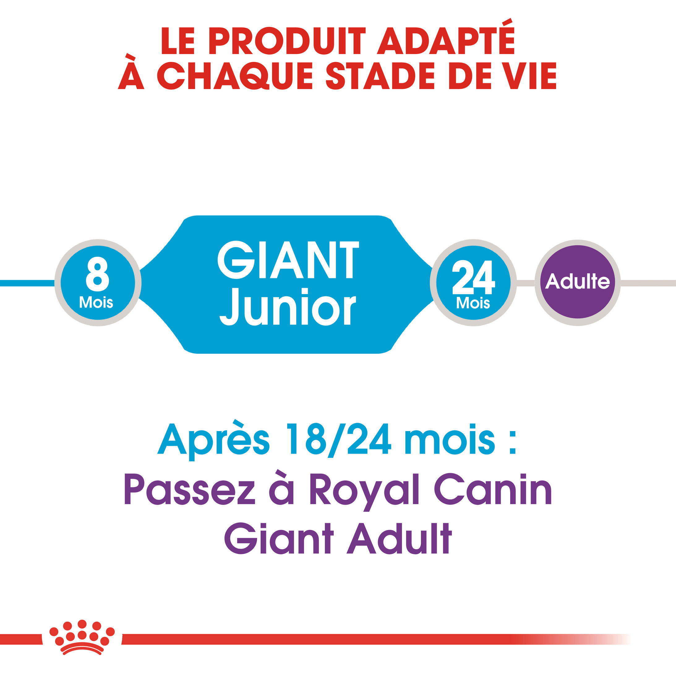 Royal Canin Giant Junior pour chiot