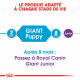 Royal Canin Giant Puppy pour chiot