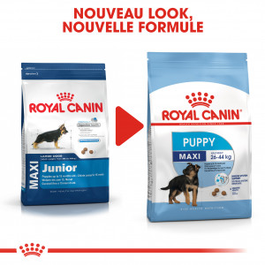 Royal Canin Maxi Puppy pour chiot