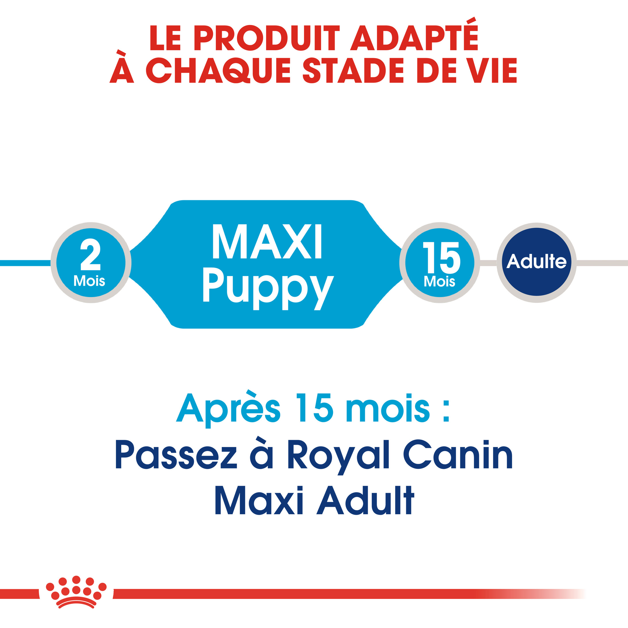 Royal Canin Maxi Puppy pour chiot