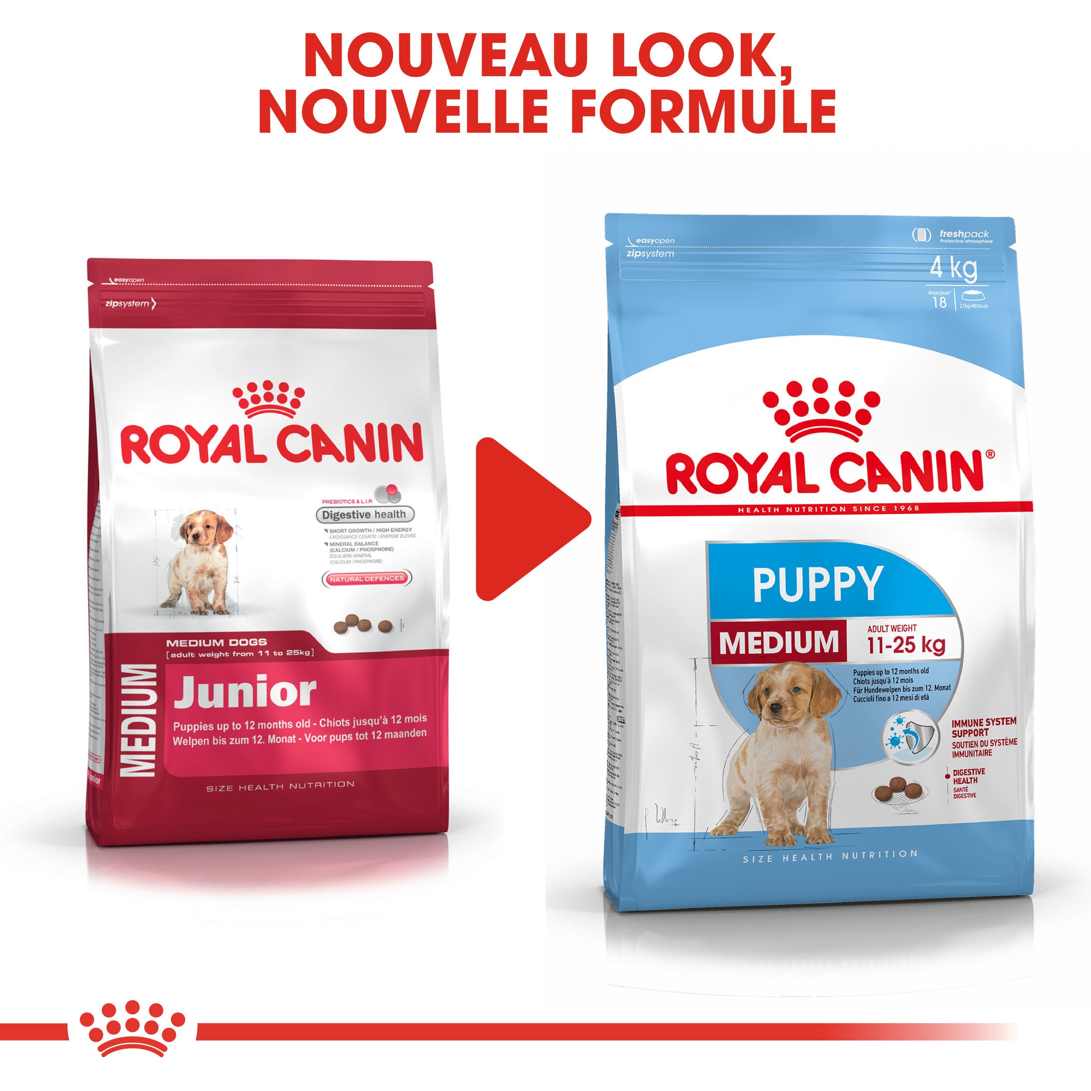 Royal Canin Medium Puppy pour chiot
