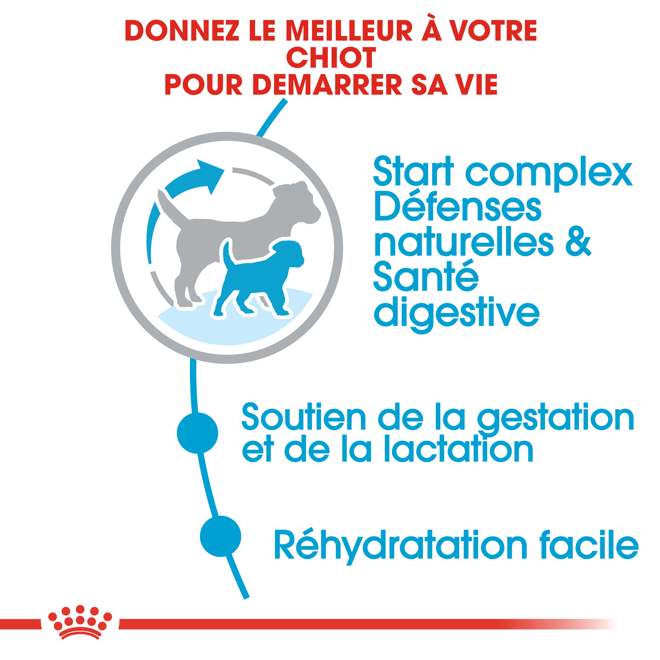 Royal Canin Mini Starter Mother & Babydog pour chiot