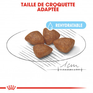Royal Canin Mini Starter Mother & Babydog pour chiot