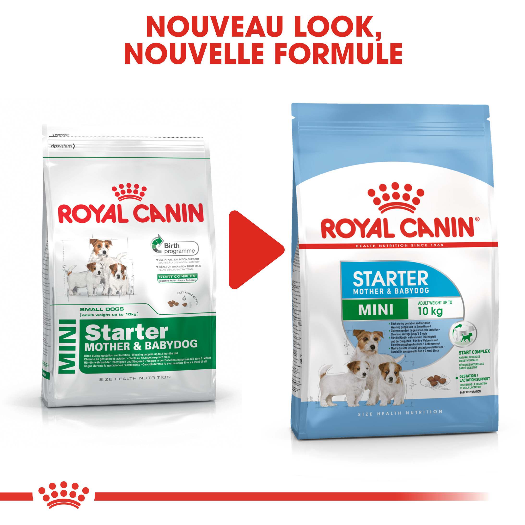 Royal Canin Mini Starter Mother & Babydog pour chiot