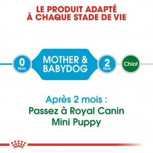 Royal Canin Mini Starter Mother & Babydog pour chiot