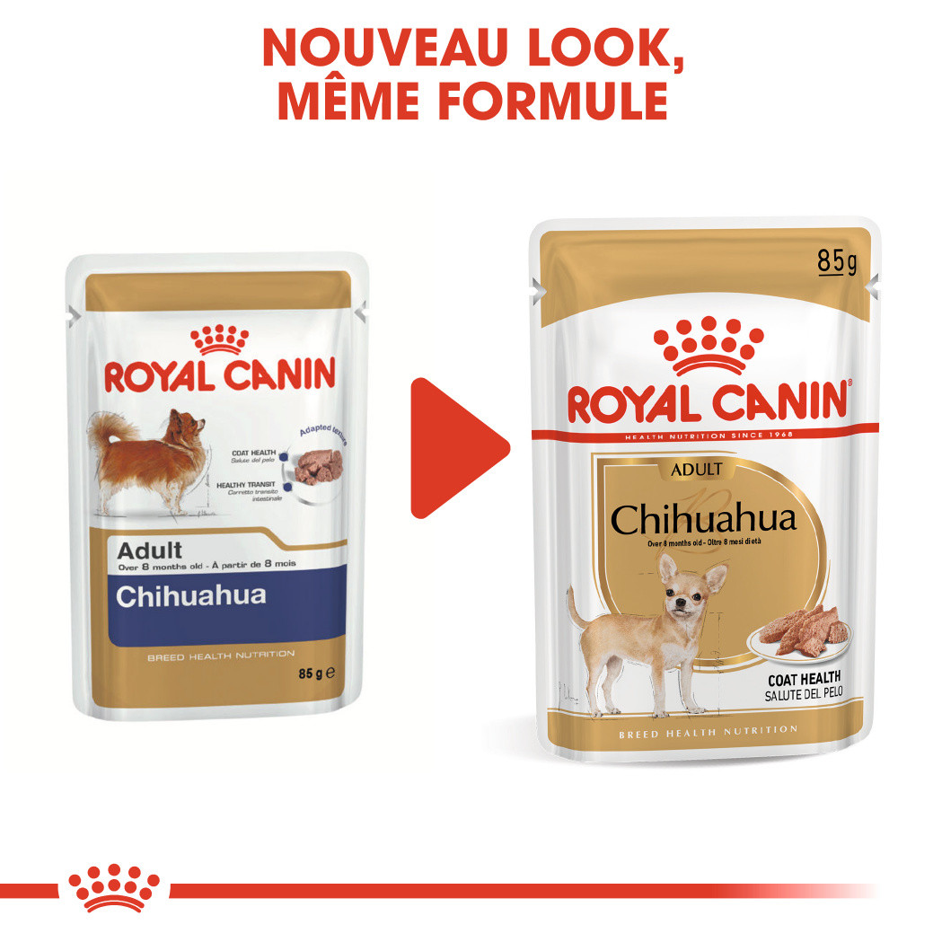 Royal Canin Chihuahua Adult Wet
