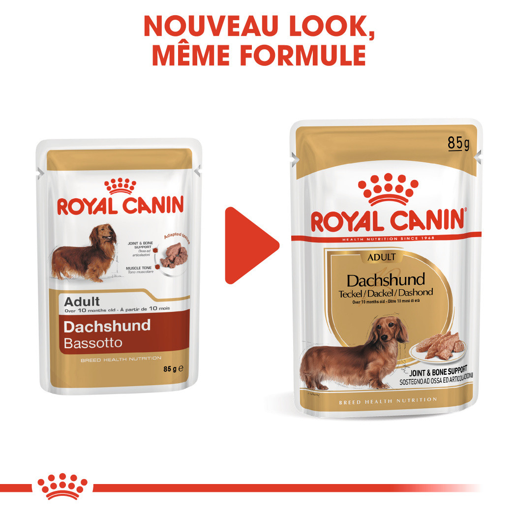 Royal Canin Teckel/Dachshund Adult Wet