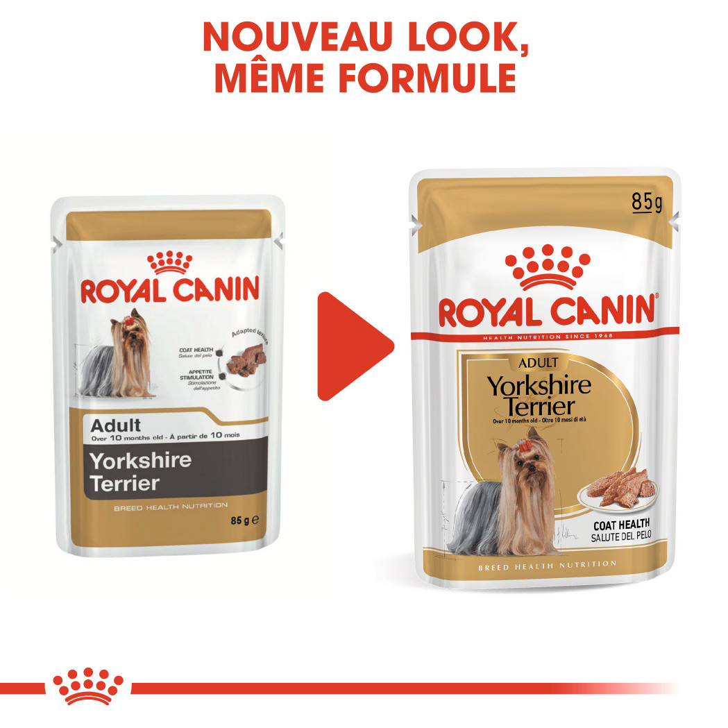 Royal Canin Yorkshire Terrier Adult Wet