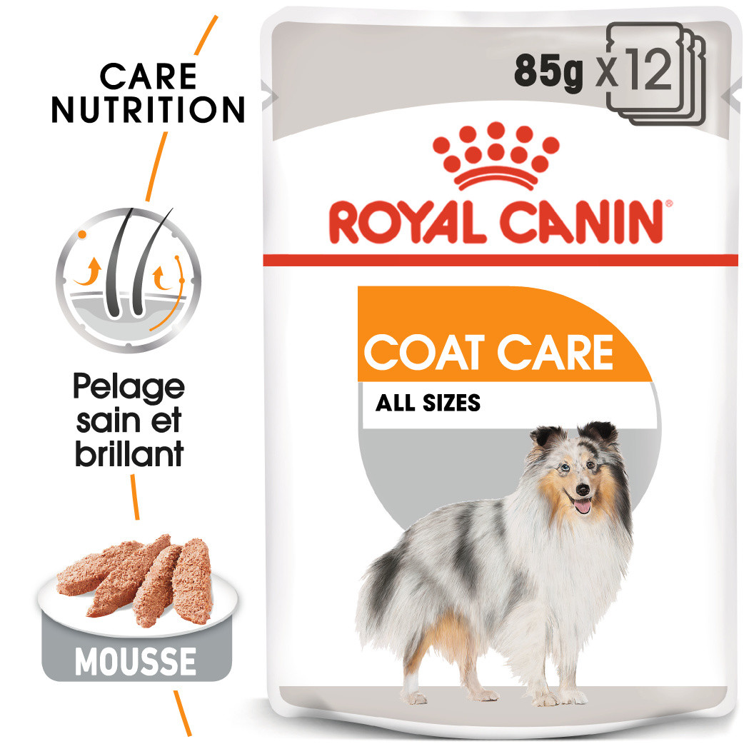 Royal Canin Coat Care Sachets pour chien Prix bas Large assortiment