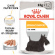 Royal Canin Dermacomfort sachets pour chien