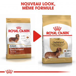 Royal Canin Adult Teckel pour chien
