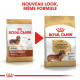 Royal Canin Adult Teckel pour chien