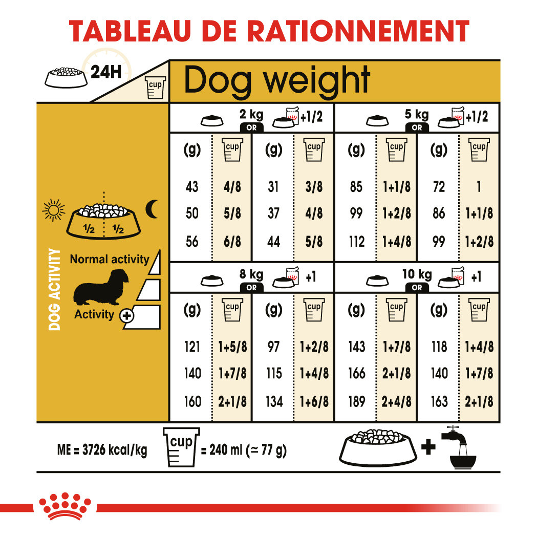 Royal Canin Adult Teckel pour chien