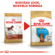 Royal Canin Puppy Teckel pour chiot