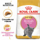 Royal Canin Kitten British Shorthair pour chaton