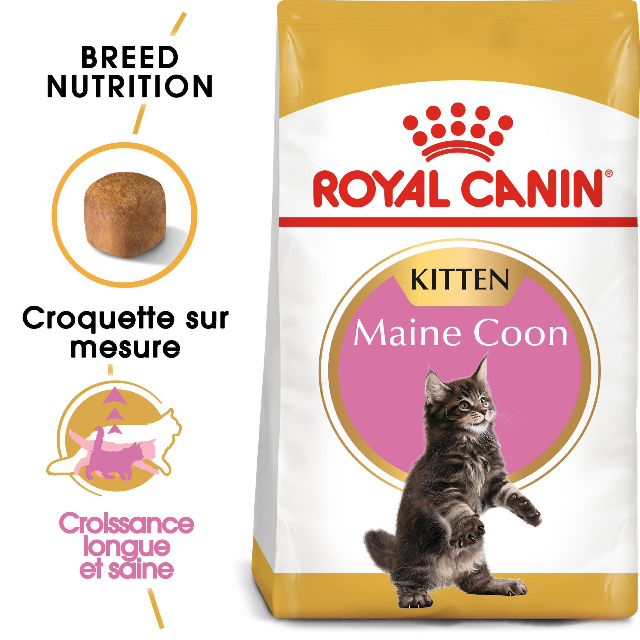 Royal Canin Chaton Maine Coon 36 Nourriture Pour Une Bonne Croissance Des Chatons Maine Coon Prix Bas Sur Brekz Fr