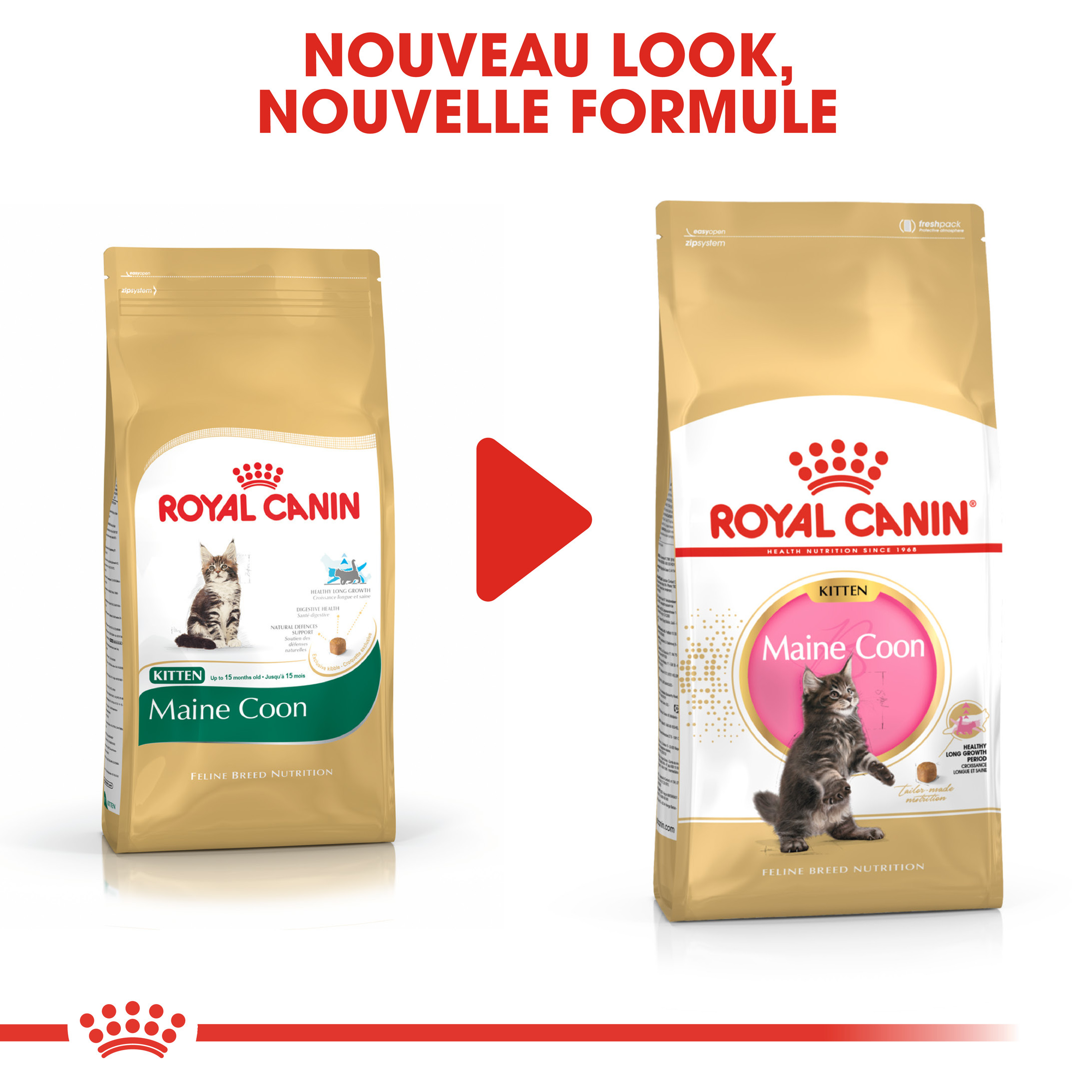 Royal Canin Chaton Maine Coon 36