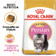 Royal Canin chaton Persian