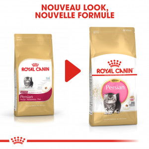 Royal Canin chaton Persian