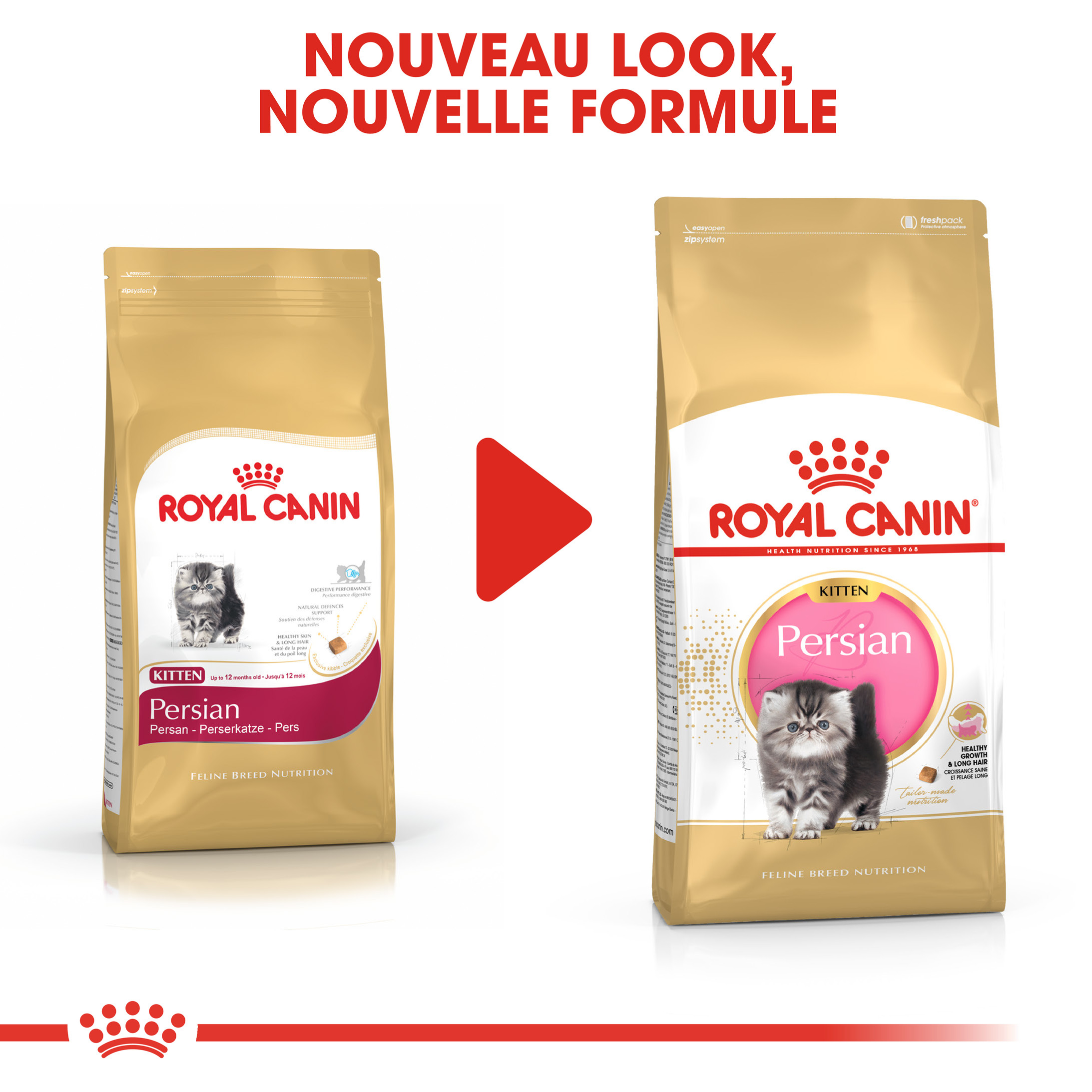 Royal Canin chaton Persian