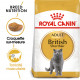 Royal Canin Chat British Shorthair 34