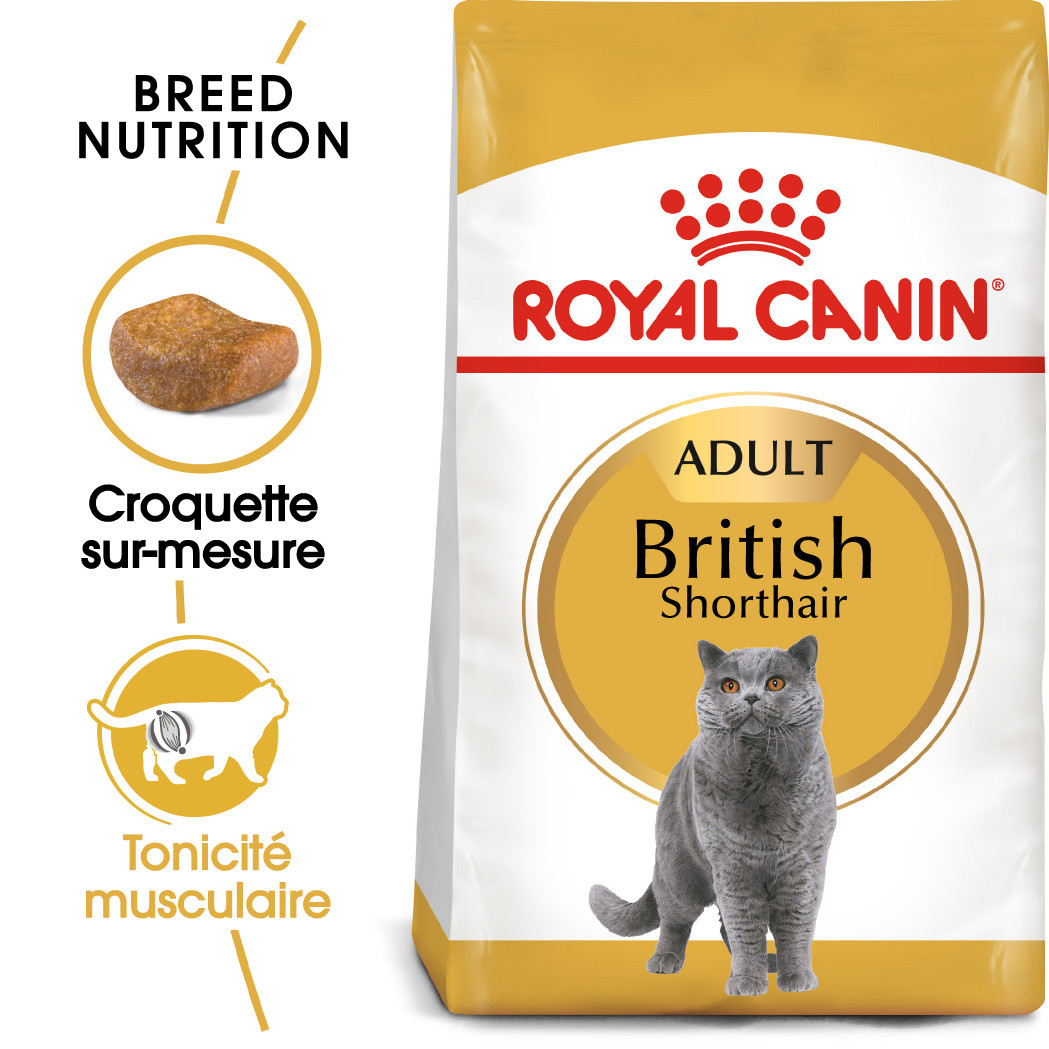 Royal Canin Adult British Shorthair pour chat