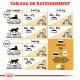 Royal Canin Chat British Shorthair 34