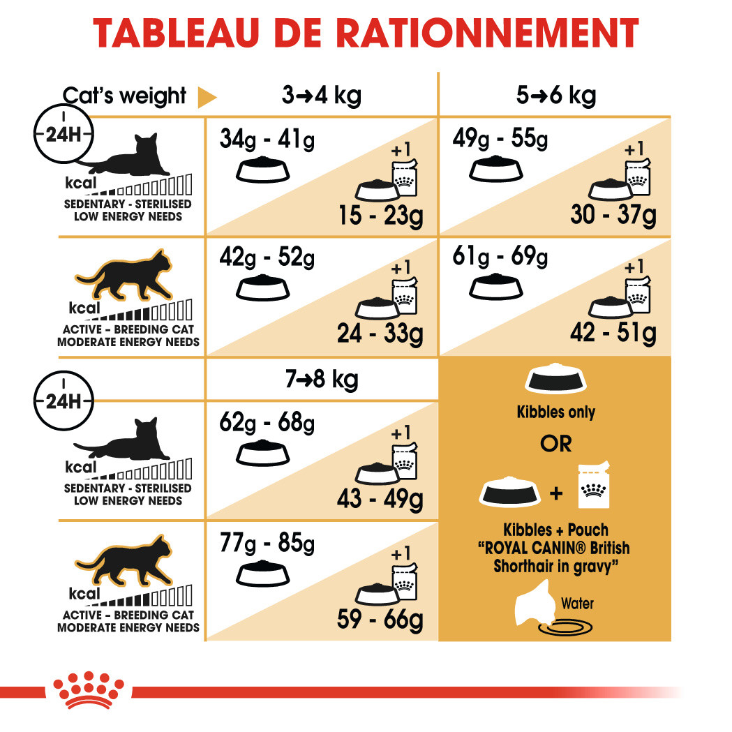 Royal Canin Chat British Shorthair 34