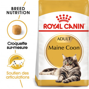 Royal Canin Chat Maine Coon 31 Adult