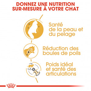 Royal Canin Norvégien pour chat