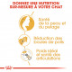 Royal Canin Norvégien pour chat
